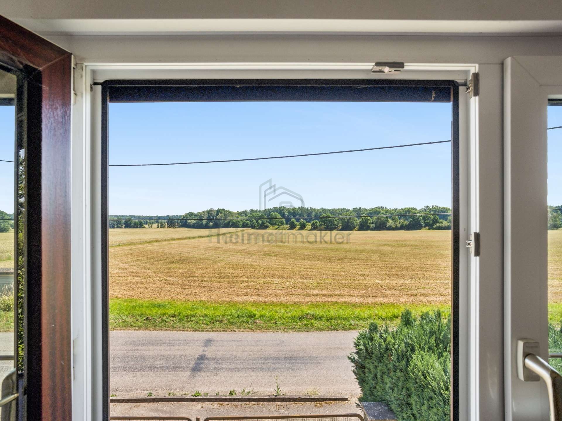 Ausblick